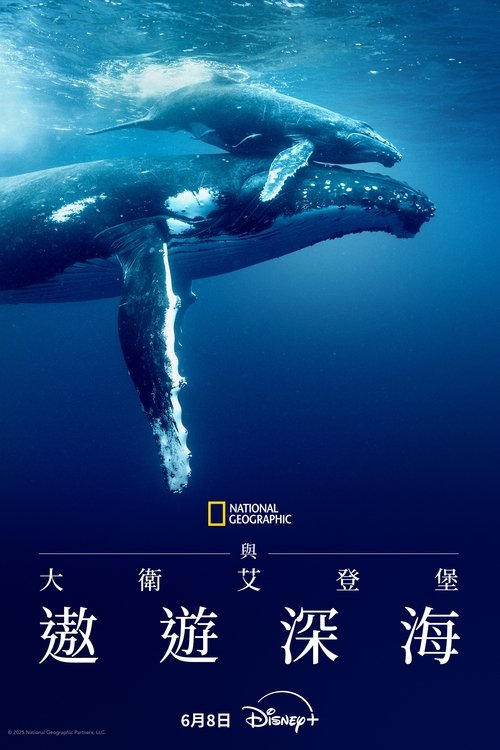 大卫·爱登堡：海洋的海报