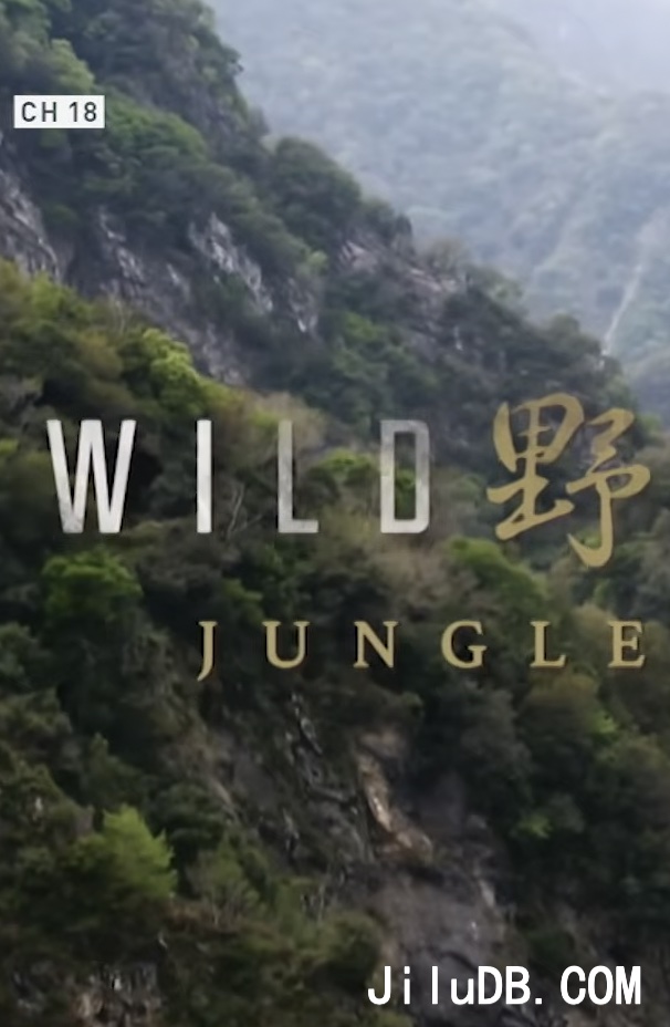 野性台湾：丛林岛屿