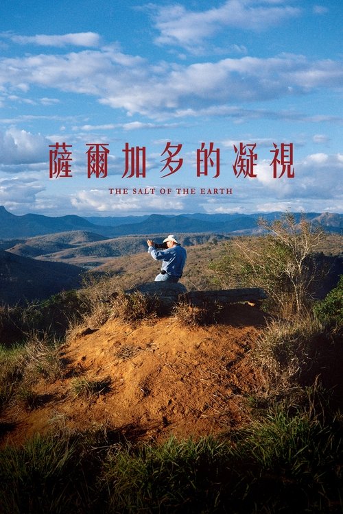 地球之盐的海报