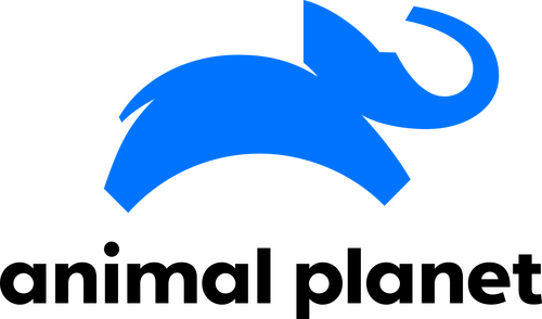 Animal Planet的logo