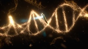 分子做的事
