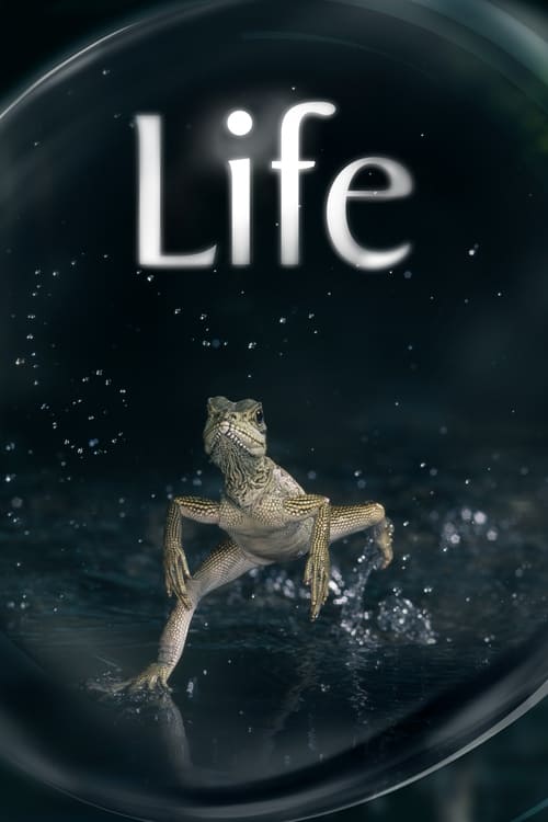 生命