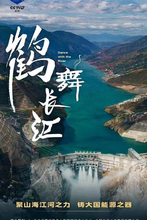 鹤舞长江 海报