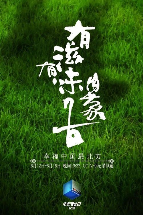 有滋有味内蒙古 海报