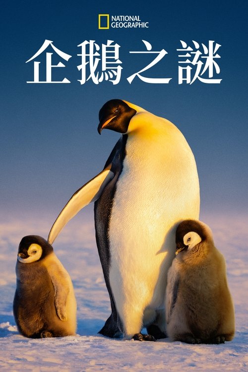 企鹅之谜